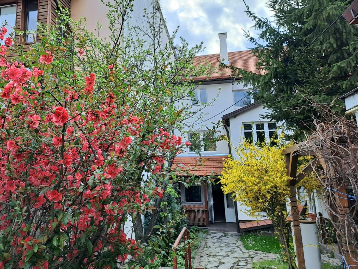 7 Level Central Apartments Меркуря-Чук Экстерьер фото